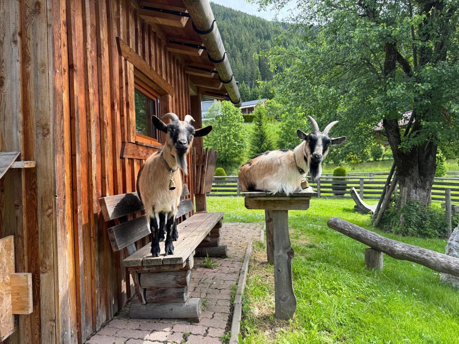 Appartements Zahnleiten ウンタータウエルン エクステリア 写真